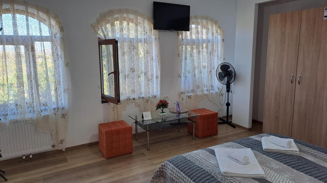 Agropensiunea Olteanu Niculitel Exterior foto